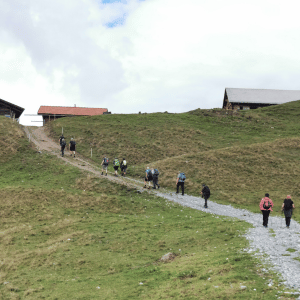 Hiking & Biking 2023 e